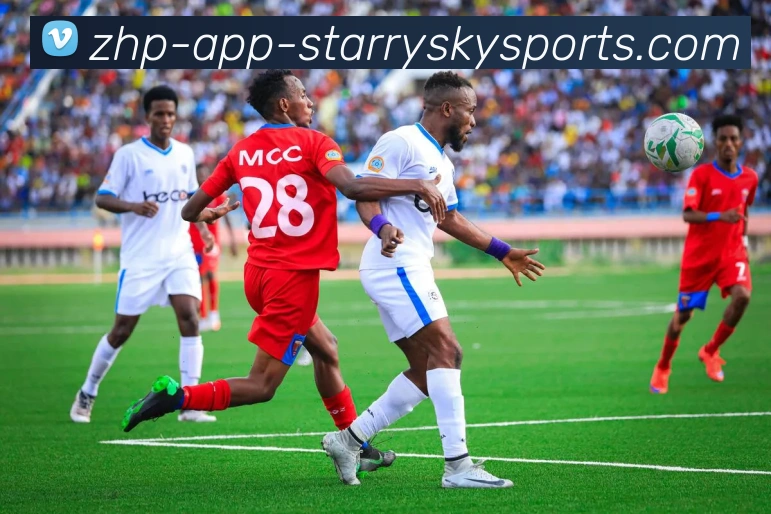 星空体育平台生态图